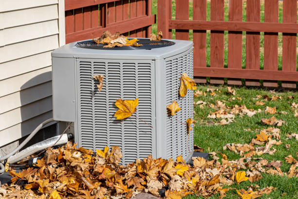 Best Best HVAC Companies  in Dana Point, CA